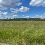 Maison à construire à Pompéjac (33730)