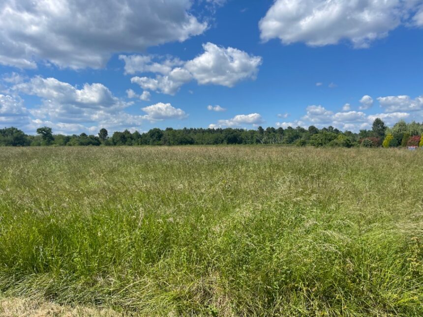 Maison à construire à Pompéjac (33730)