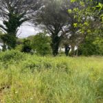 Maison à construire à Langon (33210)