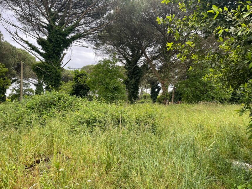 Maison à construire à Langon (33210)