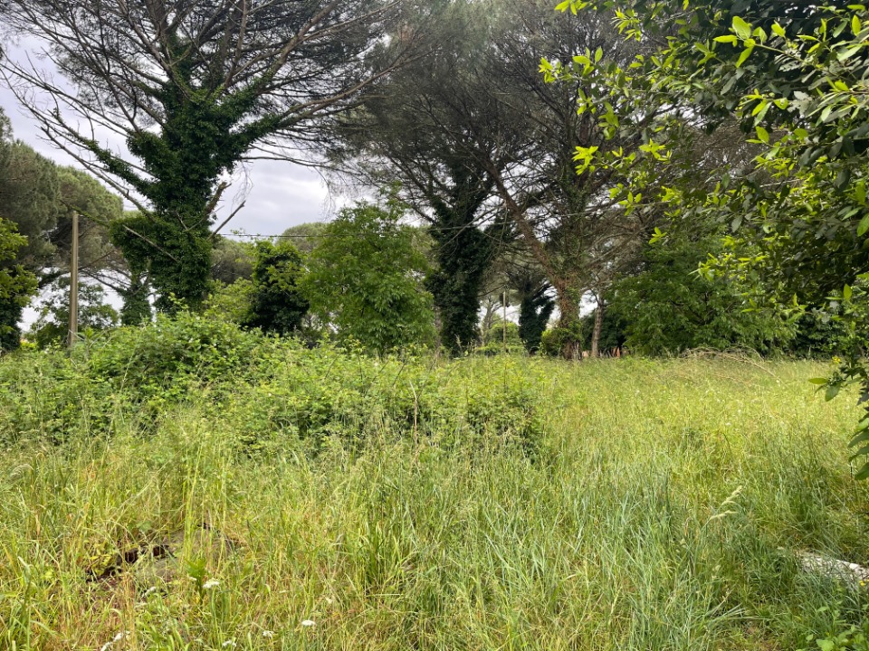 Terrain à bâtir à Langon (33210)