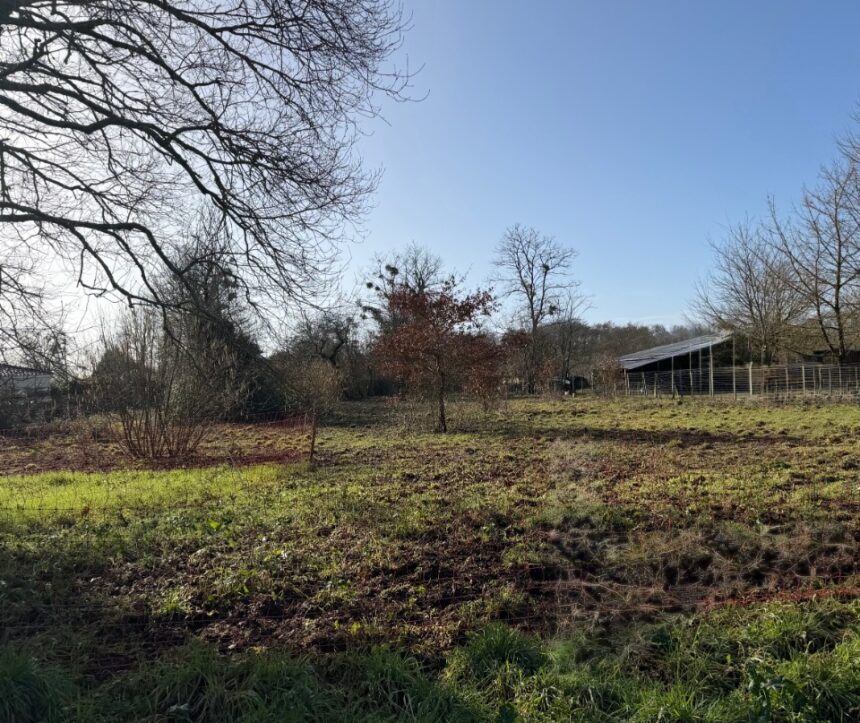 Maison à construire à Villandraut (33730)