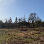 Maison à construire à Noaillan (33730)