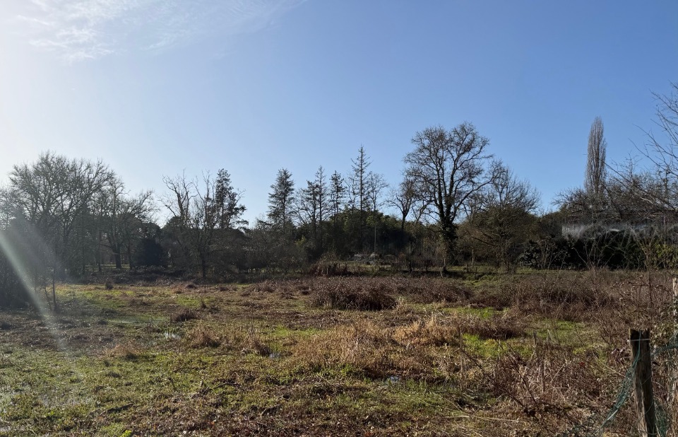 Terrain à bâtir à Noaillan (33730)