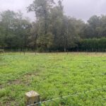 Maison à construire à Castres-Gironde (33640)