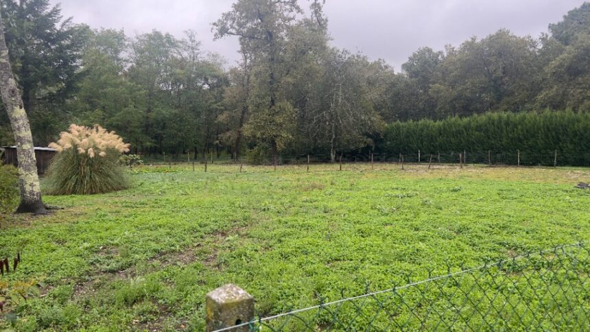 Terrain à bâtir à Castres-Gironde (33640)