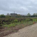 Maison à construire à La Brède (33650)