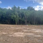 Maison à construire à Léognan (33850)