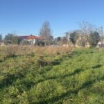 Maison à construire à Saint-Germain-du-Puch (33750)