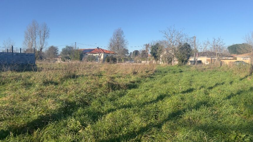 Maison à construire à Saint-Germain-du-Puch (33750)