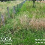 Maison à construire à La Brède (33650)