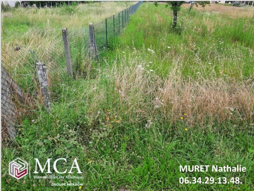 Terrain à bâtir à Arès (33740)