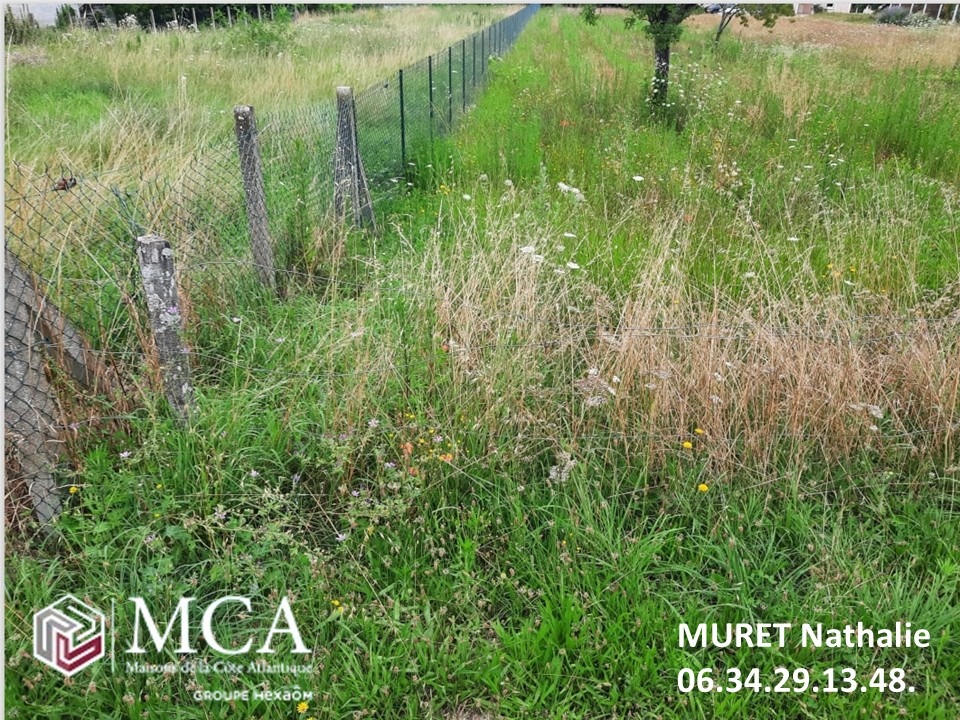Terrain à bâtir à La Brède (33650)