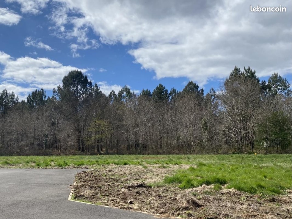 Terrain à bâtir à La Brède (33650)