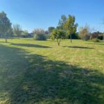 Maison à construire à Croignon (33750)