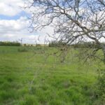 Maison à construire à Madirac (33670)