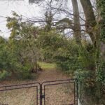 Maison à construire à Martillac (33650)