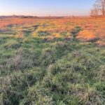 Maison à construire à Podensac (33720)