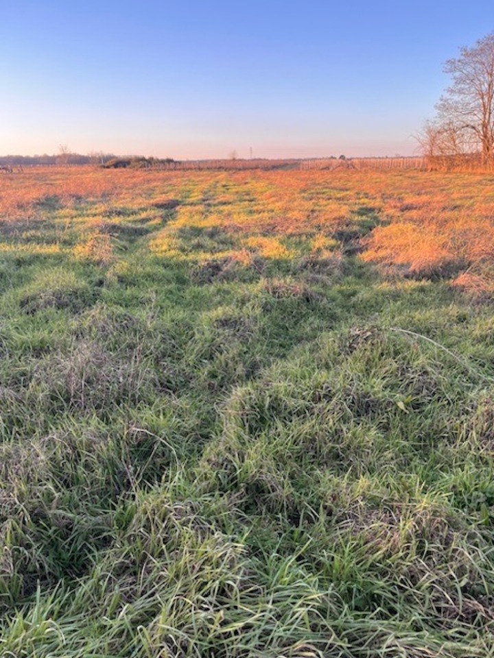 Terrain à bâtir à Podensac (33720)