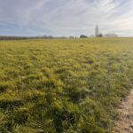 Maison à construire à Targon (33760)