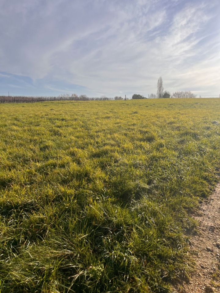 Terrain à bâtir à Targon (33760)