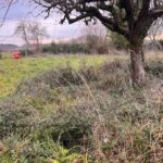 Terrain à bâtir à Targon (33760)