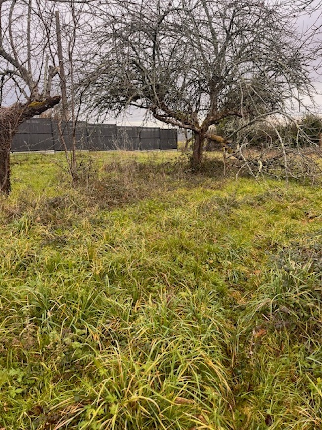 Terrain à bâtir à Targon (33760)