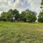 Maison à construire à Damazan (47160)