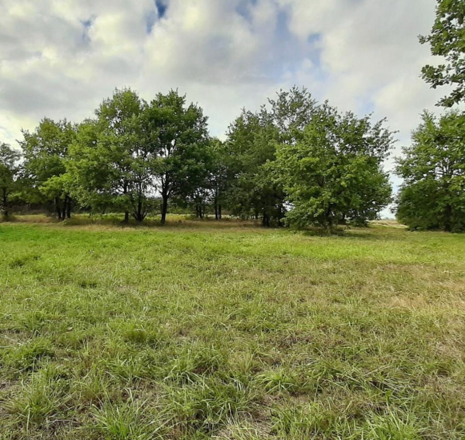 Terrain à bâtir à Buzet-sur-Baïse (47160)