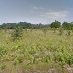 Maison à construire à Parentis-en-Born (40160)