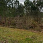 Maison à construire à Podensac (33720)