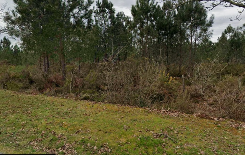 Terrain à bâtir à Saucats (33650)