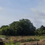 Maison à construire à Cadillac (33410)