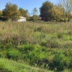 Maison à construire à Belin-Béliet (33830)