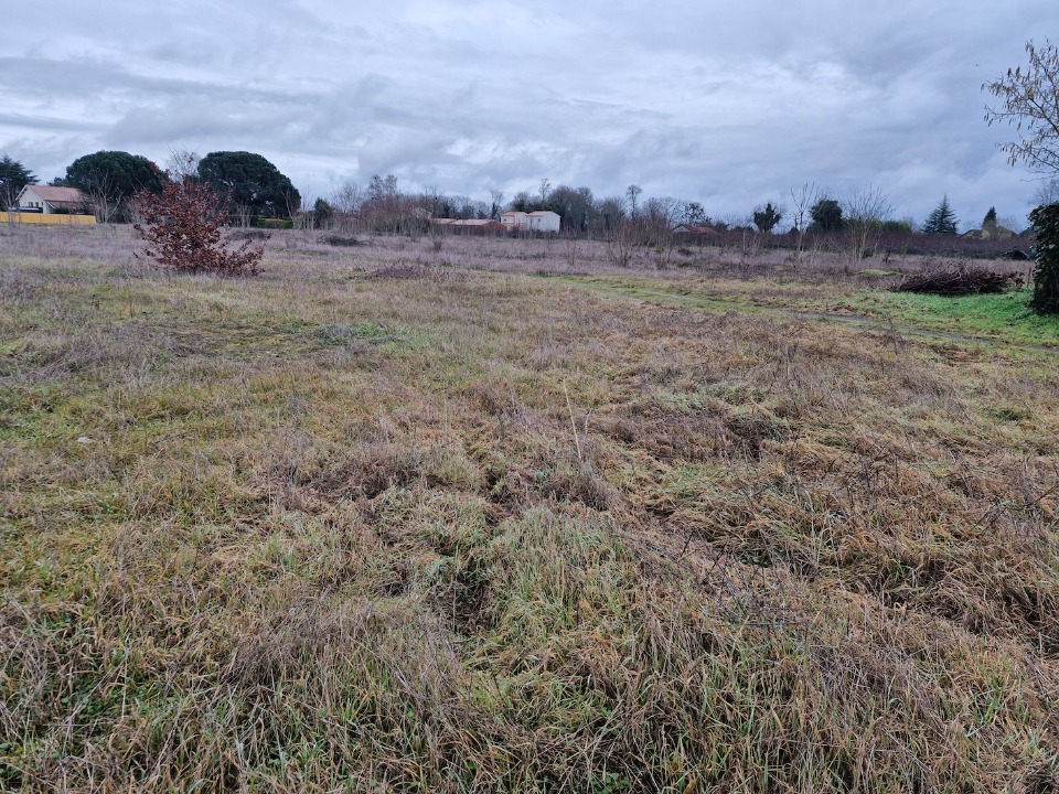 Terrain à bâtir à Barsac (33720)