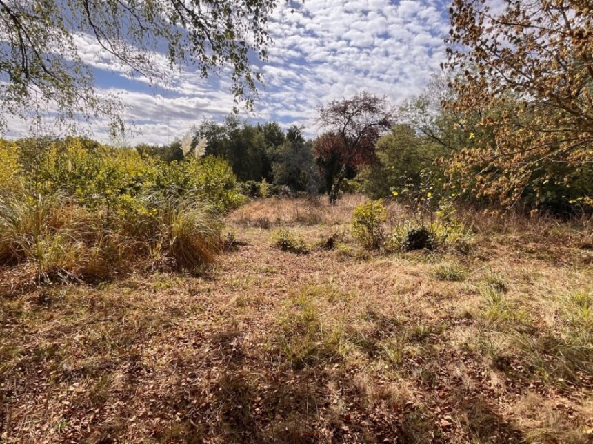 Terrain à bâtir à Cénac (33360)