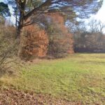 Maison à construire à Cabanac-et-Villagrains (33650)