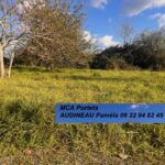 Terrain à bâtir à Capian (33550)