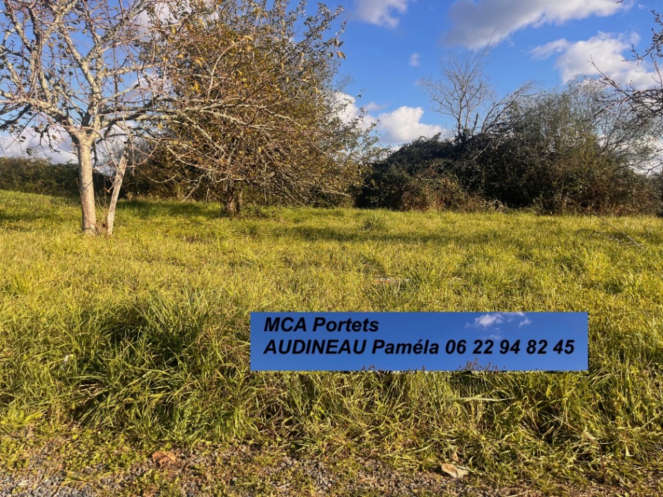 Terrain à bâtir à Capian (33550)