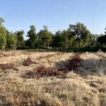 Maison à construire à Sadirac (33670)