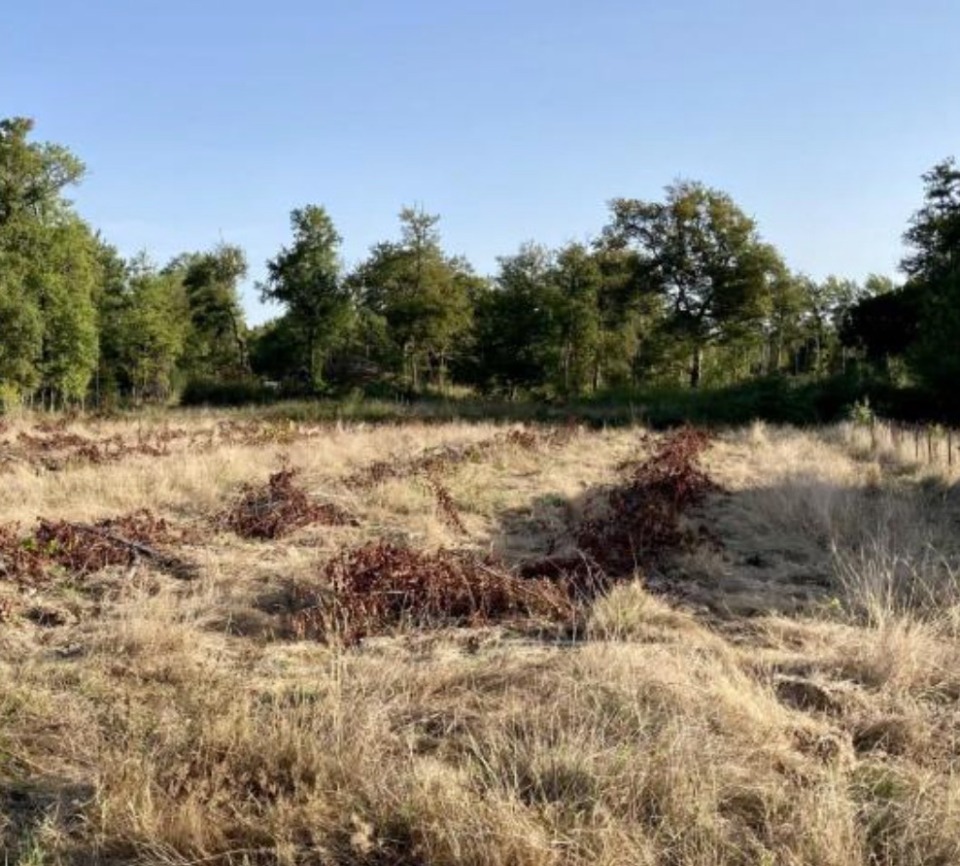 Terrain à bâtir à Sadirac (33670)
