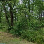 Maison à construire à Cestas (33610)