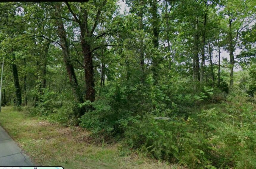 Maison à construire à Cestas (33610)