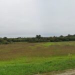 Maison à construire à Podensac (33720)