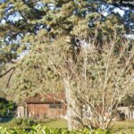 Maison à construire à Hostens (33125)