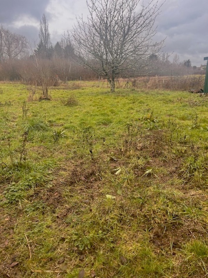 Terrain à bâtir à Rions (33410)