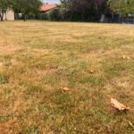 Maison à construire à Créon (33670)