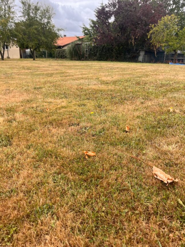 Maison à construire à Créon (33670)