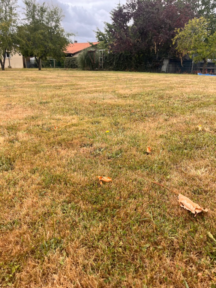 Terrain à bâtir à Créon (33670)
