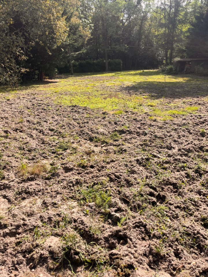 Terrain à bâtir à La Brède (33650)